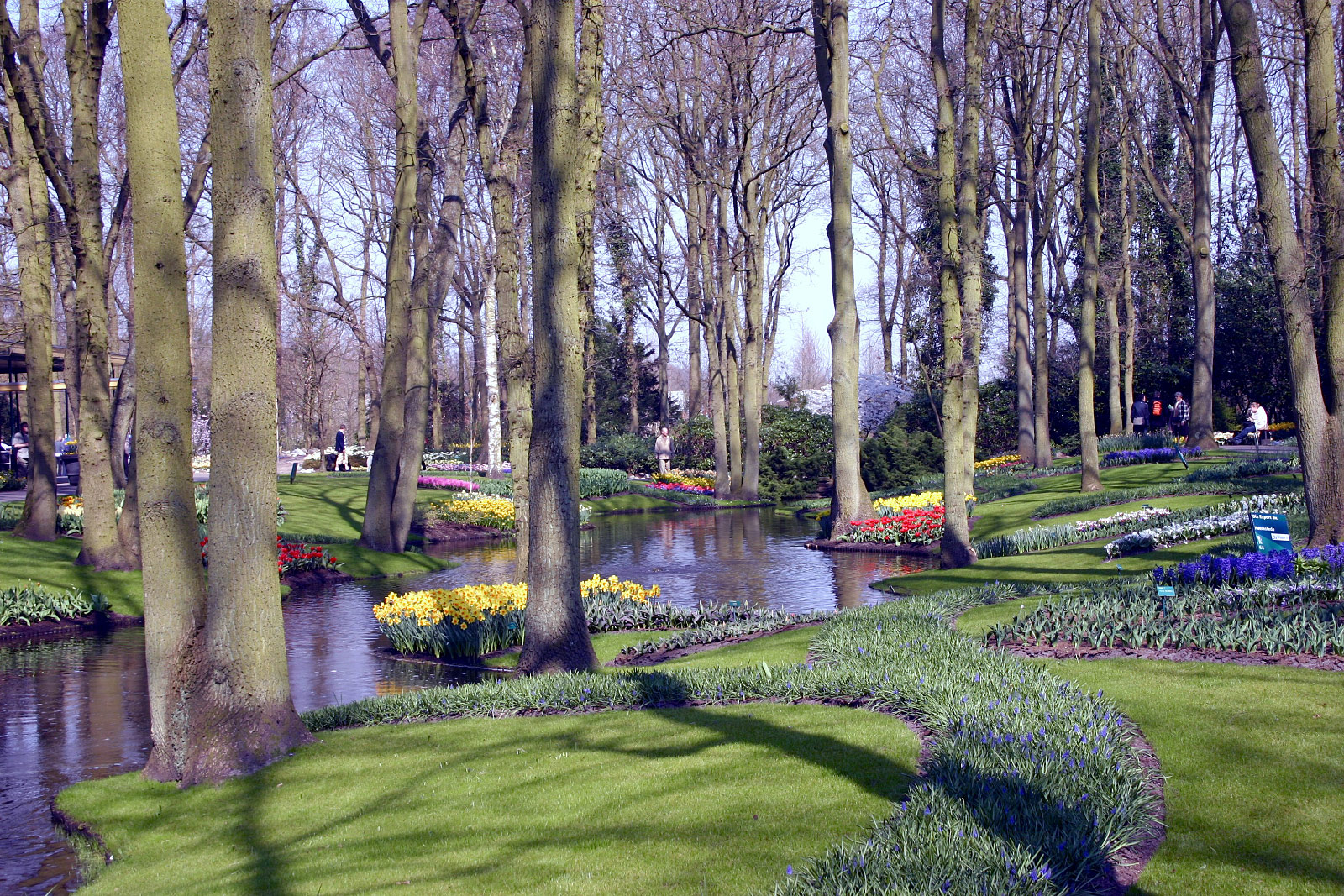 Keukenhof, Lisse